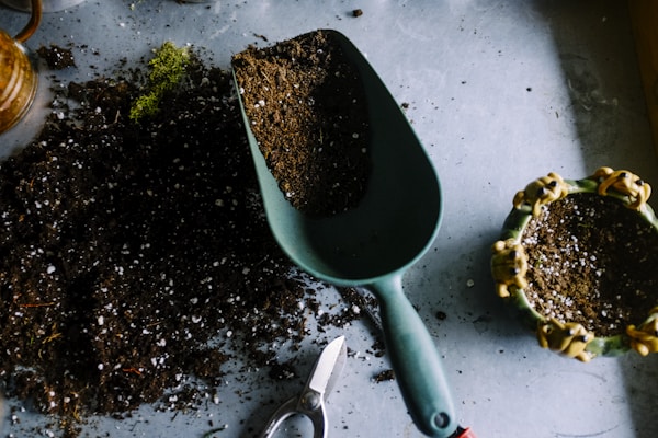 A gardener's trowel resting in freshly turned soil