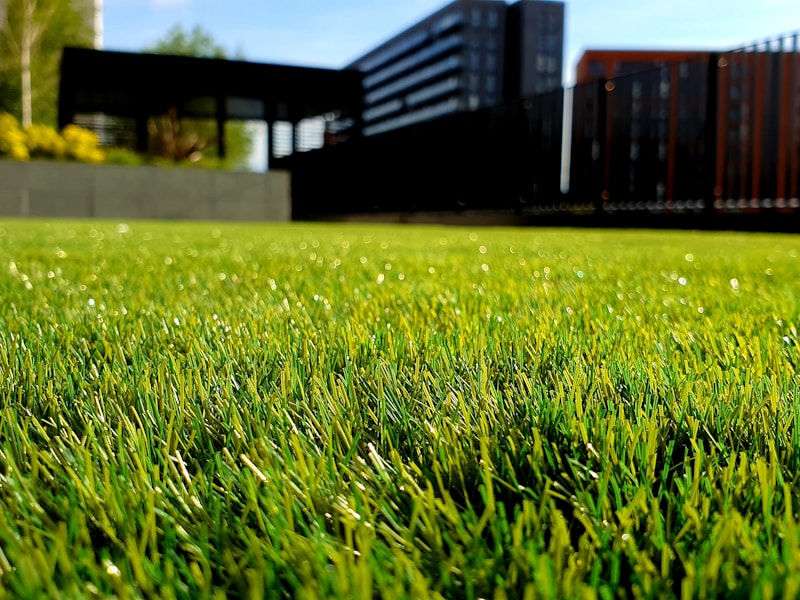 A lush, freshly cut lawn beside a modern residence